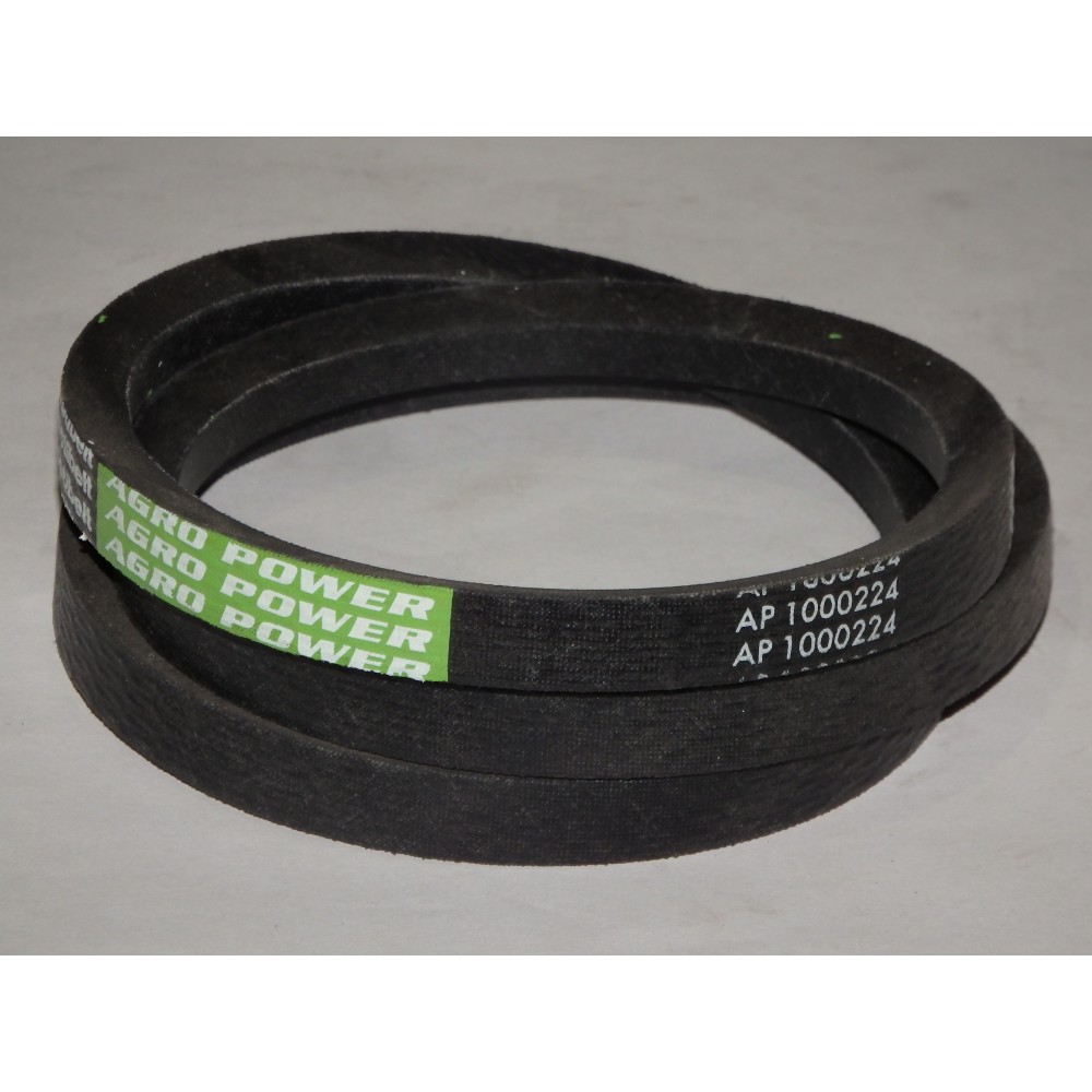 D41926100 diržas Optibelt Agro Power