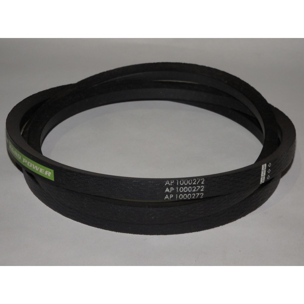 D41931600 diržas Optibelt Agro Power