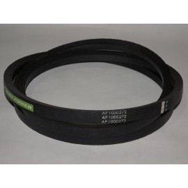D41931600 diržas Optibelt Agro Power