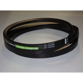 D41931100 diržas *** Optibelt Agro Power