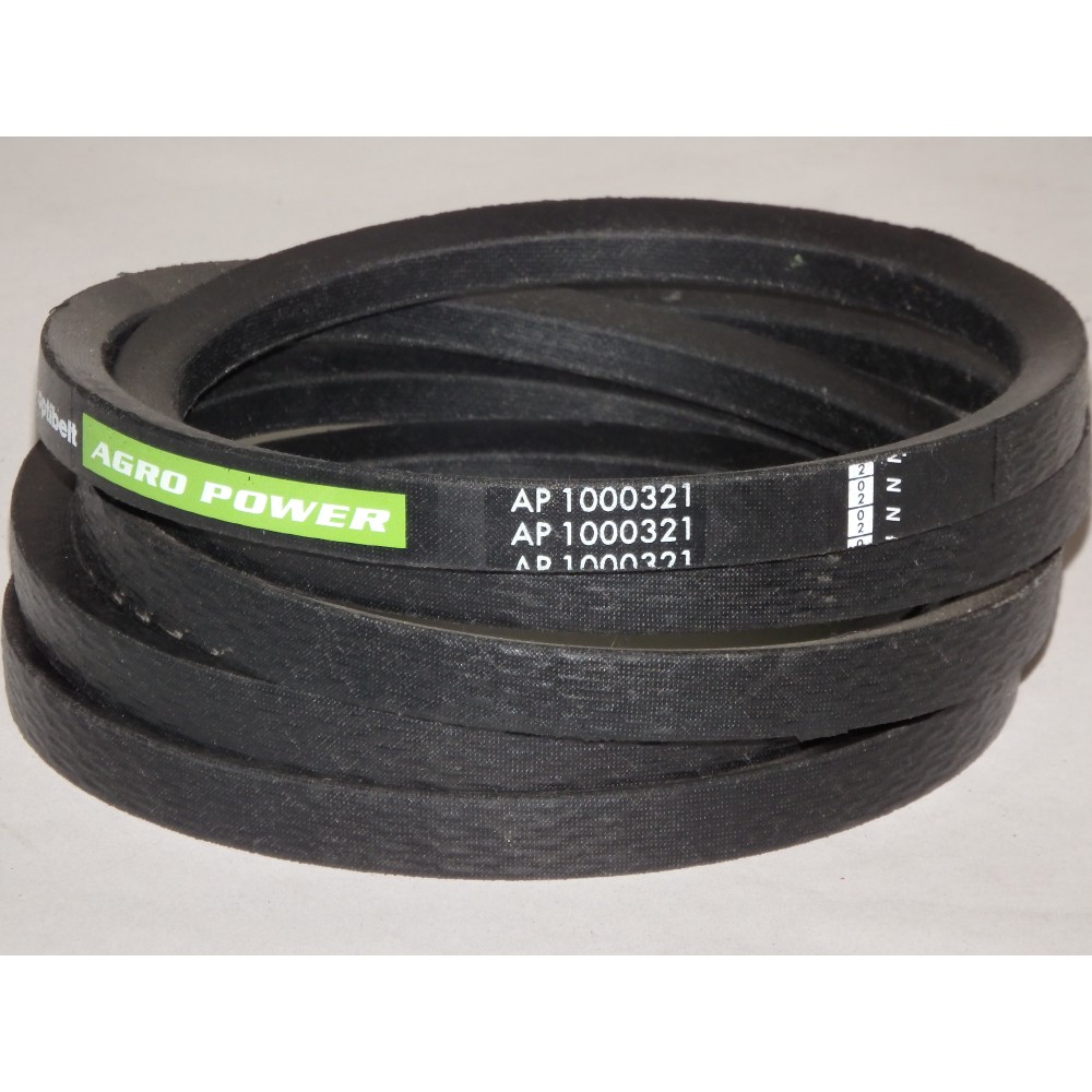 D41936300 diržas Optibelt Agro Power