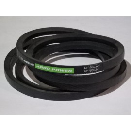 87521887 diržas Optibelt Agro Power