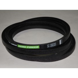 D41939300 diržas Optibelt Ago Power