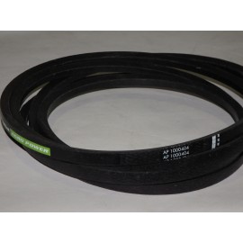 D41942100 diržas Optibelt Agro Power