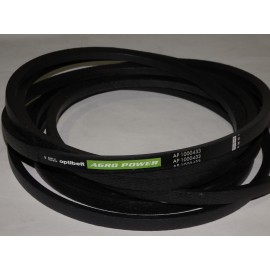 628991.0 diržas Optibelt Agro Power