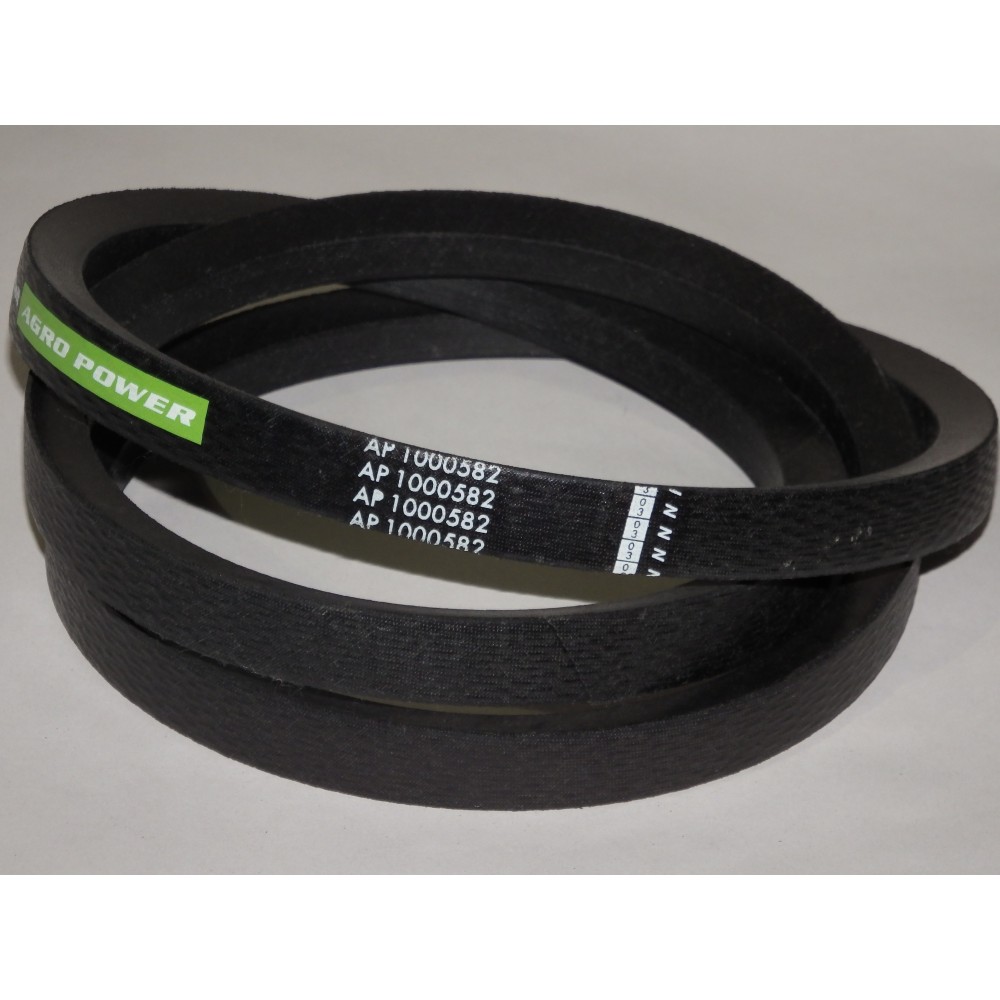 D41982100 diržas Optibelt Agro Power