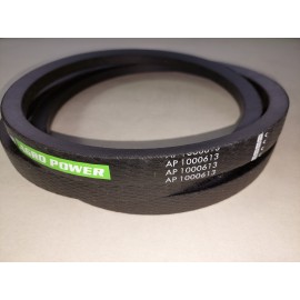 340433423 diržas Optibelt Agro Power
