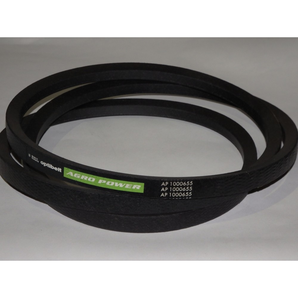 D41984100 diržas Optibelt Agro Power