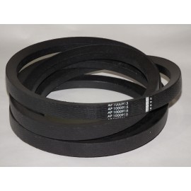 D41989100 diržas Optibelt Agro Power AGJS