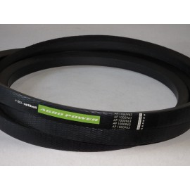 673639.0 diržas Optibelt Agro Power