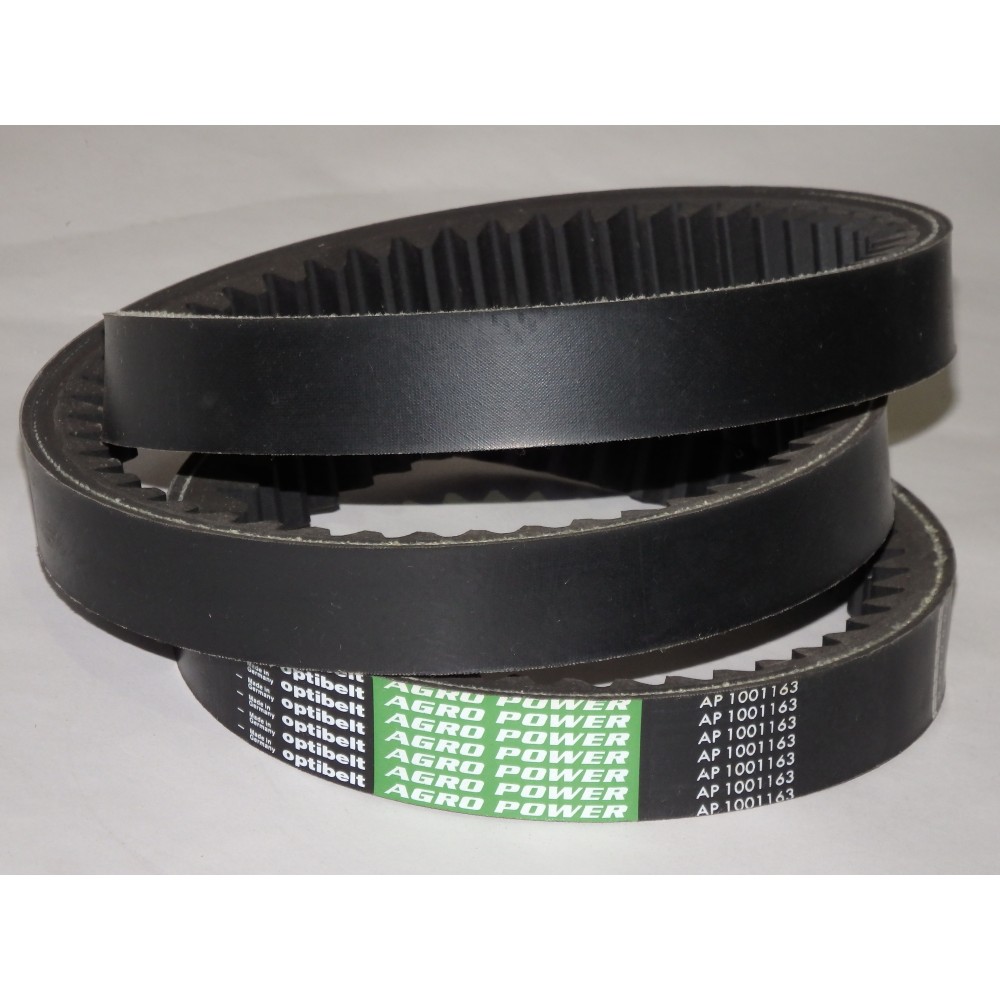 667530.1 diržas Optibelt Ago Power