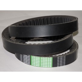 667530.1 diržas Optibelt Ago Power
