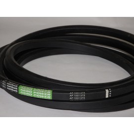 D41989900 diržas Optibelt Agro Power