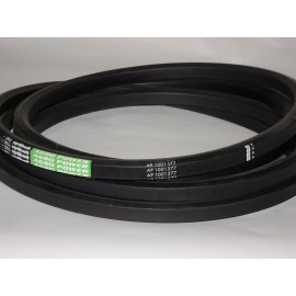 D41990100 diržas Optibelt Agro Power
