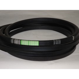 D41990069 diržas Optibelt Agro Power