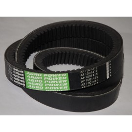 80439832 diržas Optibelt Agro Power