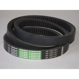 84073979 diržas Optibelt Agro Pawer