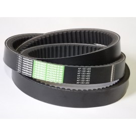 1616714M1 diržas Optibelt Agro Power dant.
