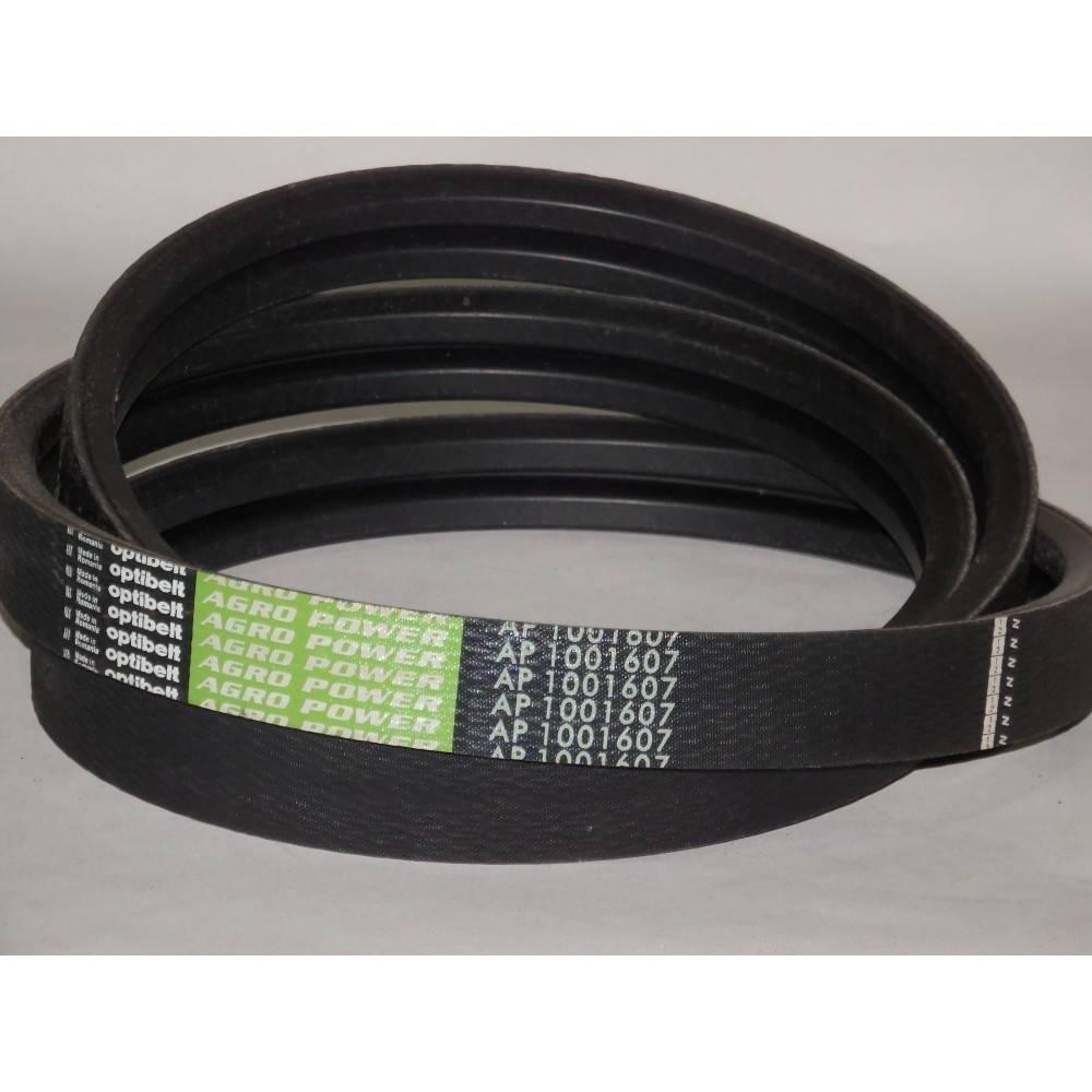 D41979100 diržas Optibelt Agro Power