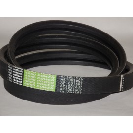 D41979100 diržas Optibelt Agro Power