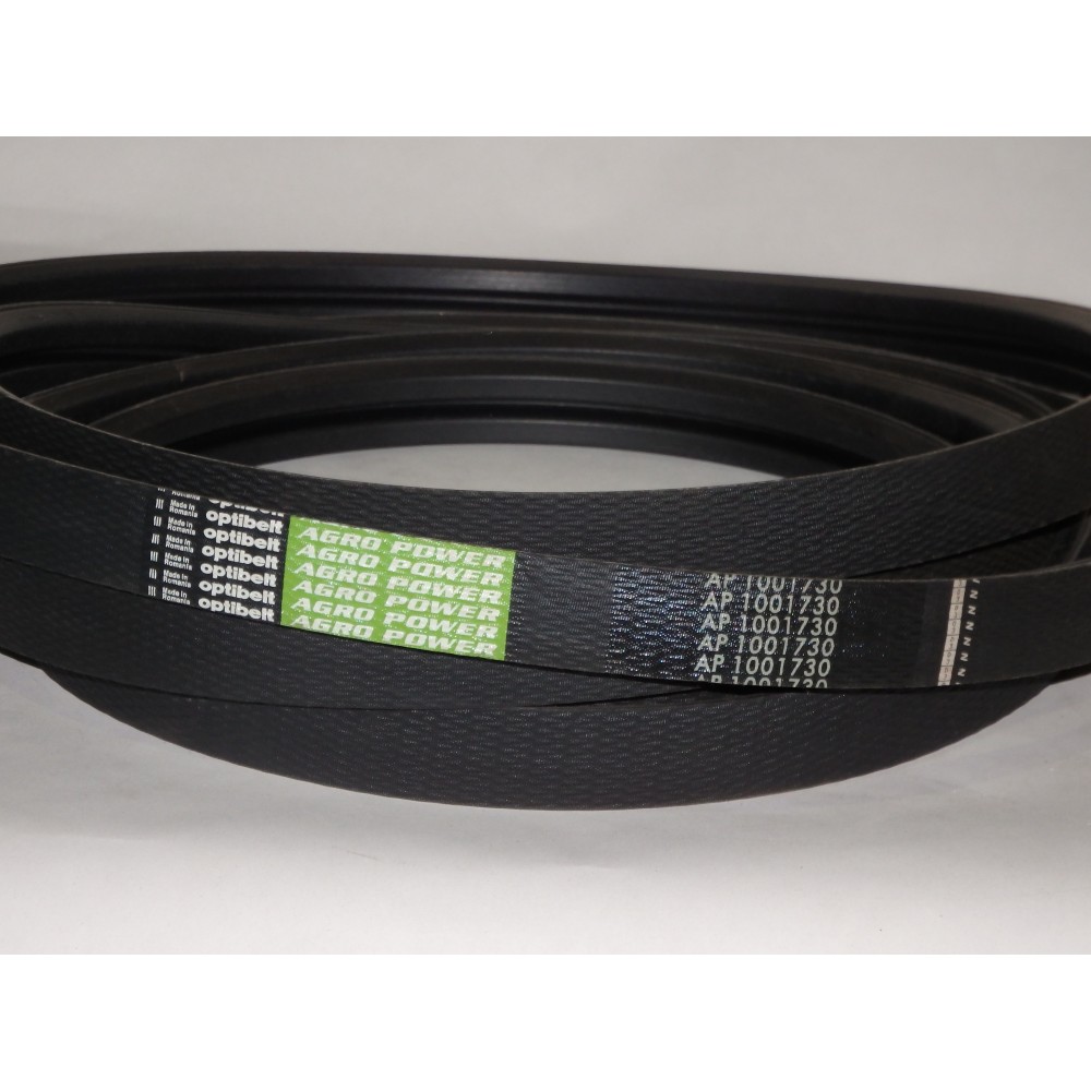D41978900 diržas Optibelt Agro Power