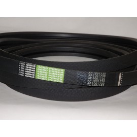 D41978900 diržas Optibelt Agro Power