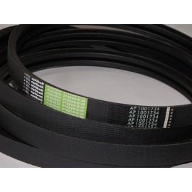 01145640 diržas Optibelt Agro Power