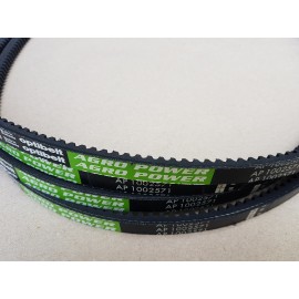 D41990700 diržas Optibelt Agro Power