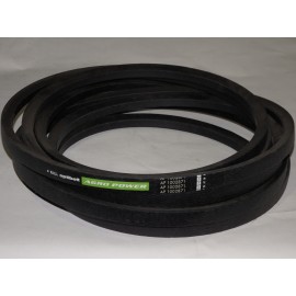 628779.1 diržas Optibelt Agro Power