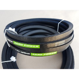 6201376 diržas Optibelt  Agro Power     II
