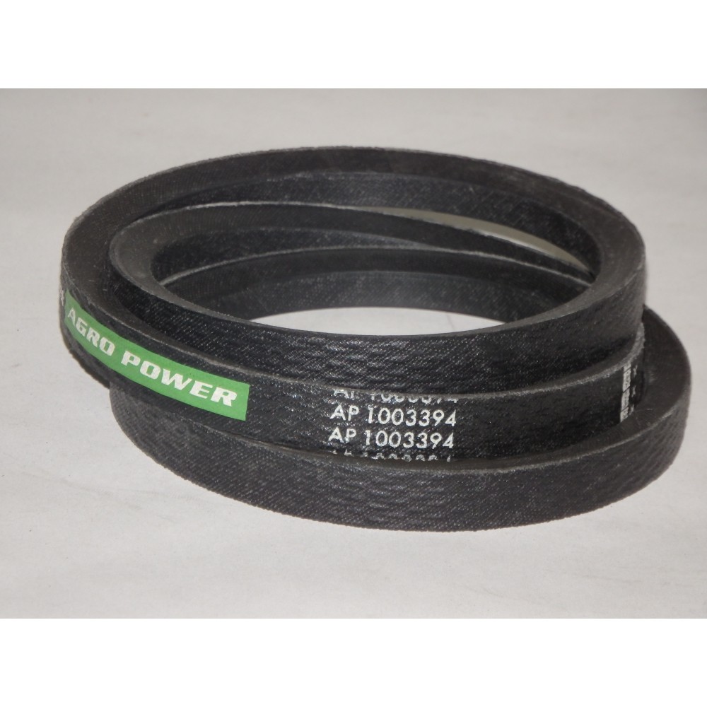 D41924900 diržas Optibelt Agro Power