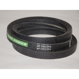 D41924900 diržas Optibelt Agro Power