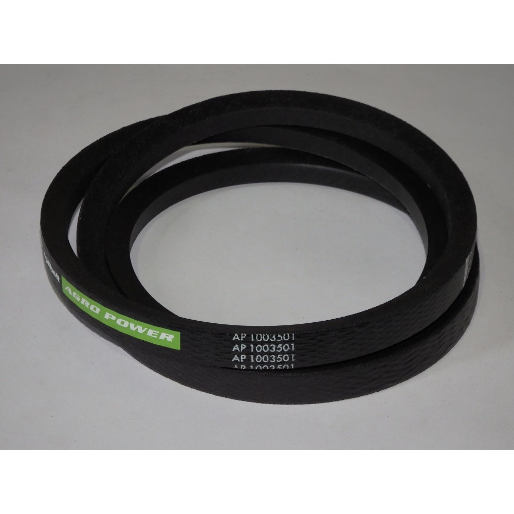 0425540 diržas Optibelt Agro Power
