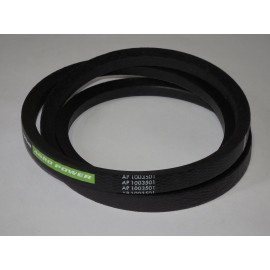0425540 diržas Optibelt Agro Power