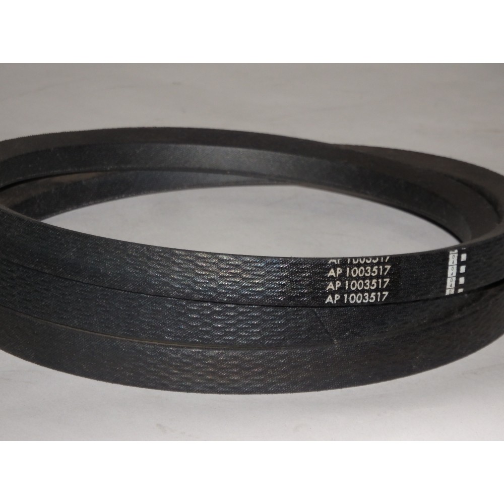 D41950400 diržas Optibelt Agro Power