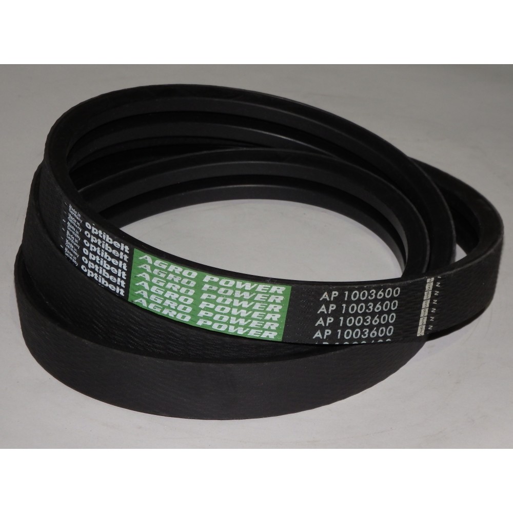 D41990050 diržas Optibelt Agro Power