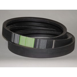 344312128 diržas Optibelt Agro Power