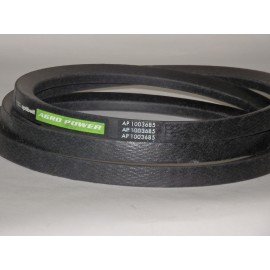 4254138824 diržas Optibelt Agro Power