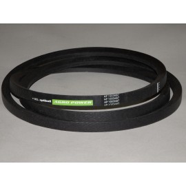 640208.0  diržas Optibelt Agro Power SK