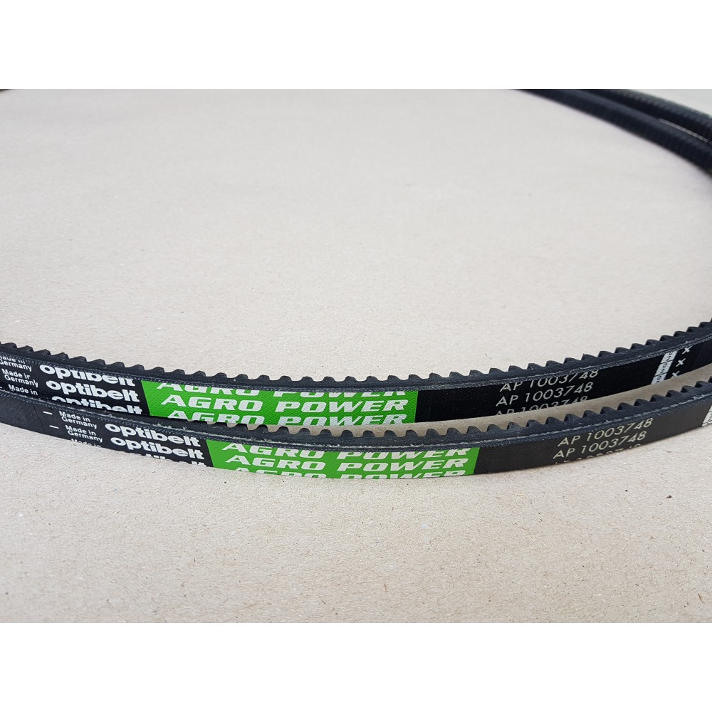 D41909000 diržas Optibelt Agro Power