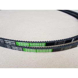 D41909000 diržas Optibelt Agro Power