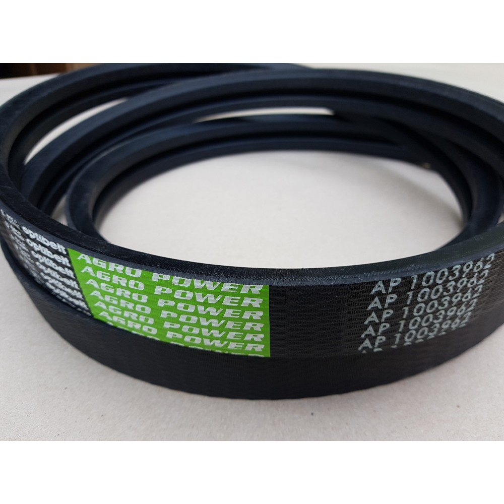 D41978100 diržas Optibelt Agro Power