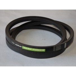 D41950900 diržas Optibelt Agro Power.