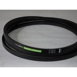 80446780 diržas Optibelt Agro Power