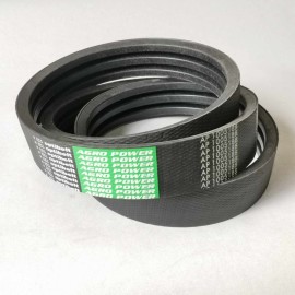 665833.0 diržas Optibelt Agro Power