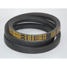 C22-1700Ld diržas Fenner Top Drive
