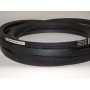 C22-8000Li(C315) diržas Optibelt VB 00
