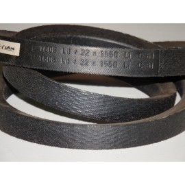 C22-1550Li (C61) diržas Optibelt VB 00
