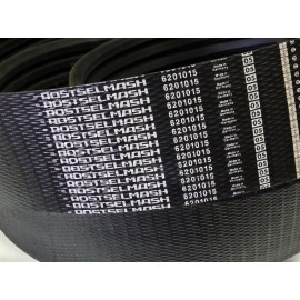 6201015 diržas OPTIBELT RSM