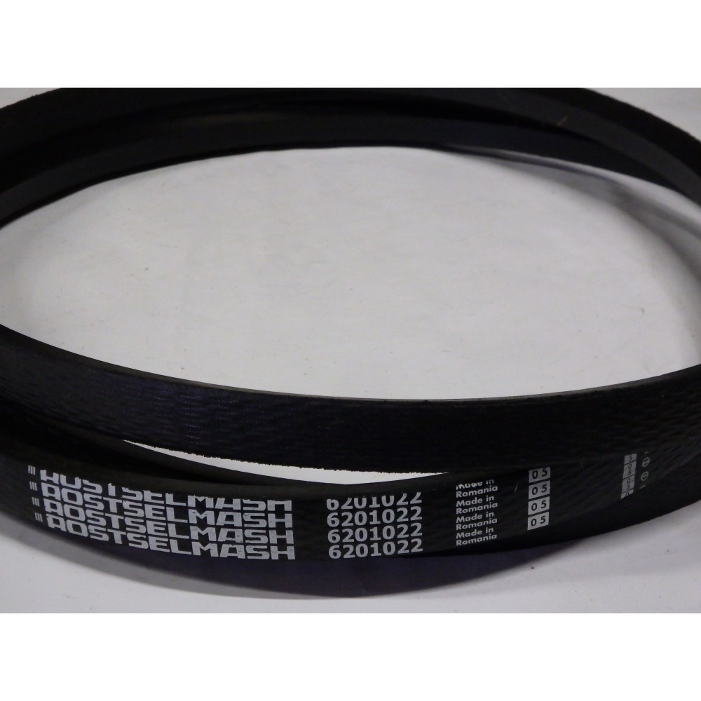6201022 diržas OPTIBELT RSM   II
